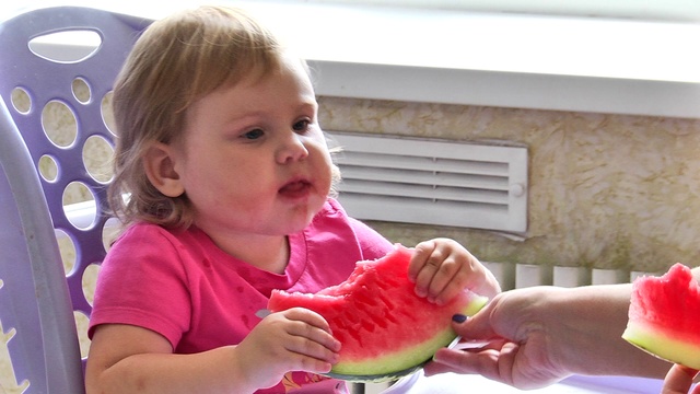 Пробуем Арбуз 