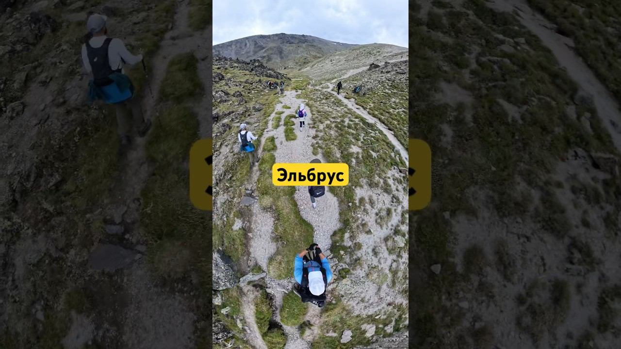 2d92b2485d5edb09225e9811eff6b626