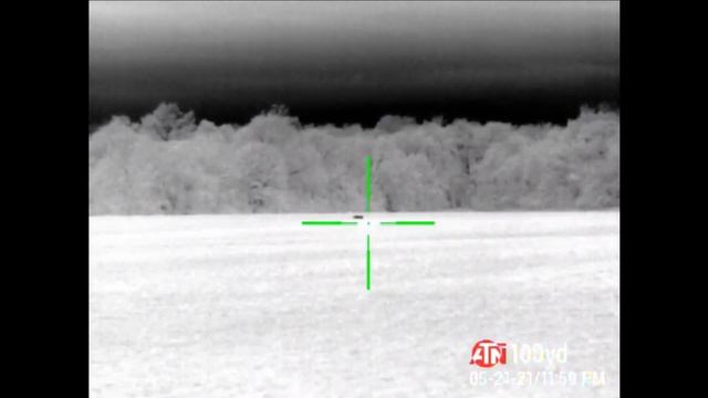 Our Quickest Hunt Yet!! L 2 Minute Chicken Farm Set