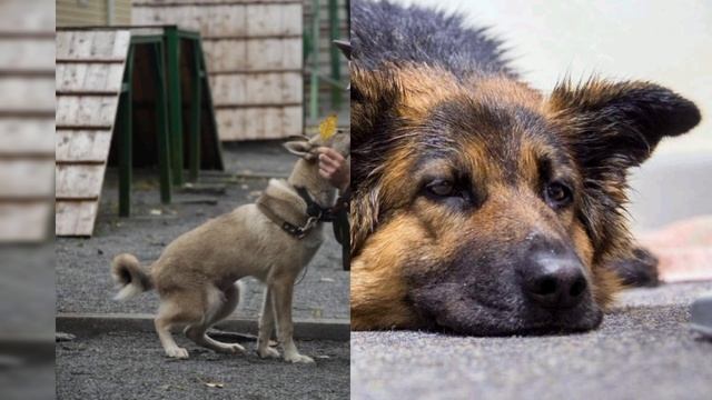 Владимир Захаров На Кольцевой.mp4