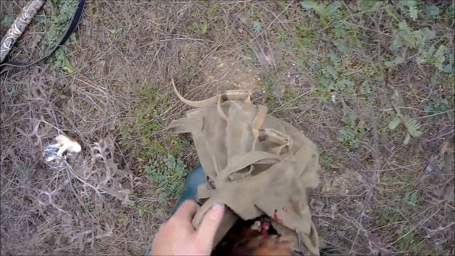 Охота на фазана!!! 2019г