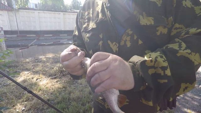 Крым: Рыбалка в каменных джунглях