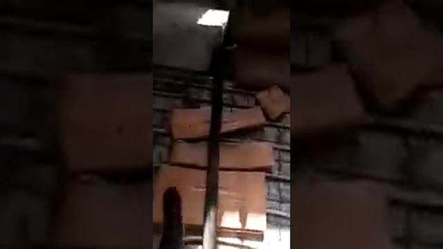 A141fa9f98339445dbaa35341879fcb8