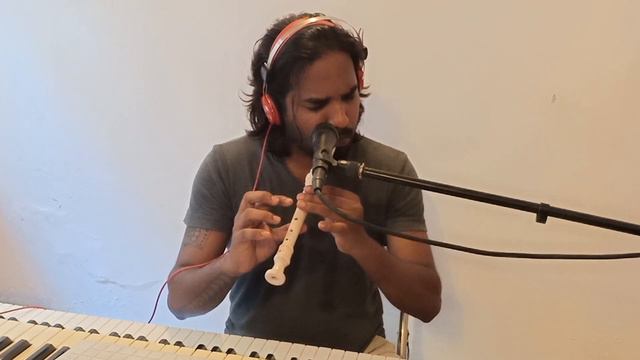 Titanic Theme Music Cover Version(Sachi#Recorder)