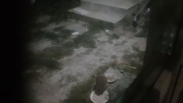 Вот какой гости приходит нам кушать каждый вечер