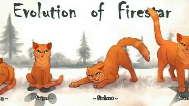 СЛАЙДШОУ : КОТЫ ВОИТЕЛИ часть2