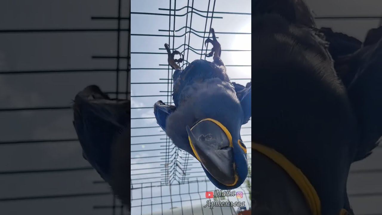 Edb1b7e7673fb71efaf1dea39843ea5c