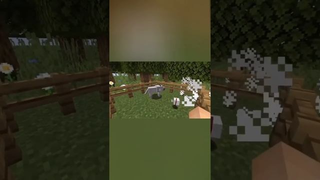 я мусульманин!!! #майн #майнкрафт #minecraft #мусульман #пес #собака