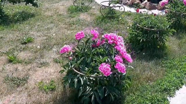 114842a6d85741746b6ef757bff2fc1b