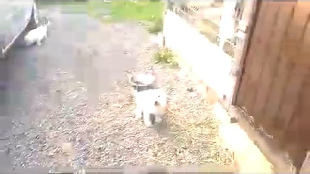 23.05.2017  Вечером, после работы(5)