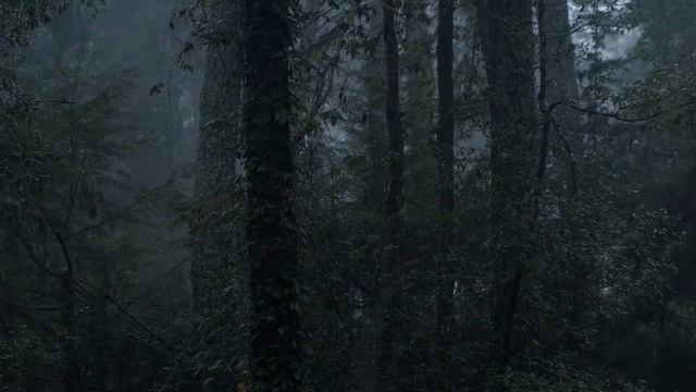 интересная история на ночь