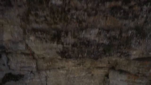 D1f3295def45732daf8092536caeea2b