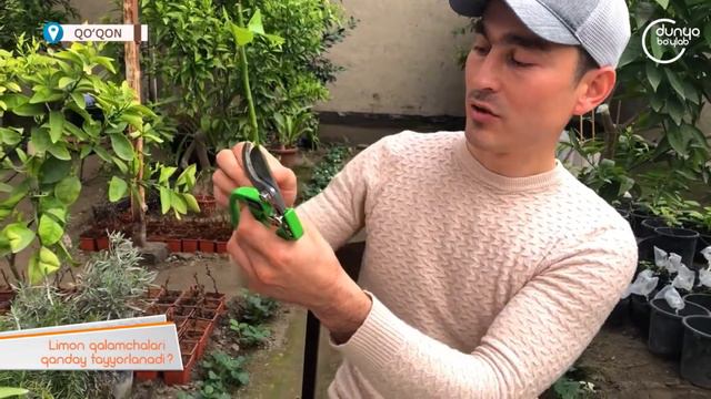 C29e3ec41a8b680969fd155126f5a5fe