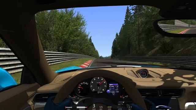 Assetto Corsa - Porsche 911 Carrera S - World Record Nordschleife Tourist