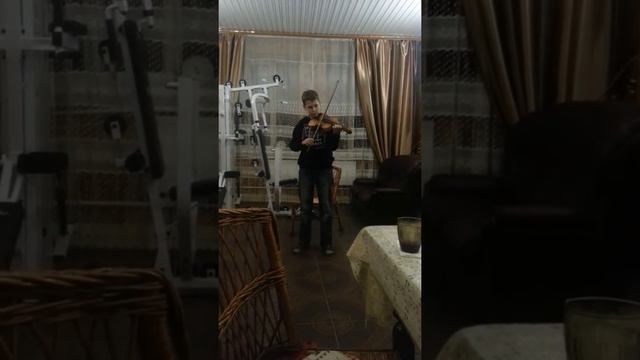 скрипка мой брат