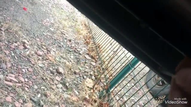 Мозаика и ремонт: Построй свой дом по-новому