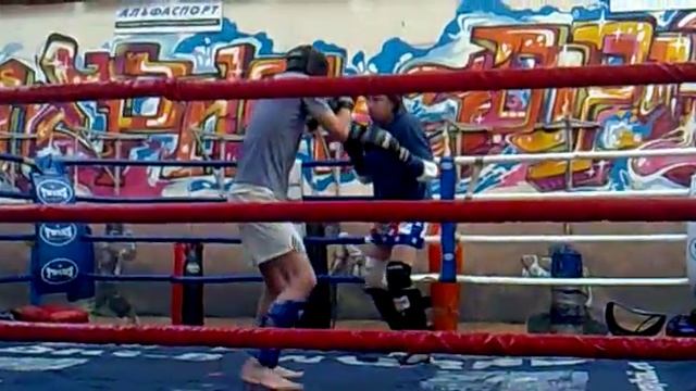 Бойцовский круг (любители)