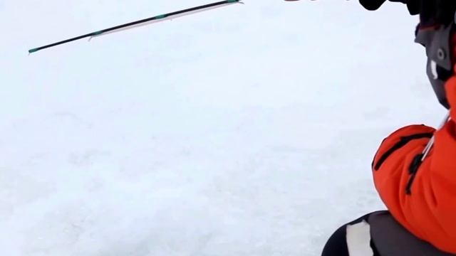 Когда ловить судака весной?