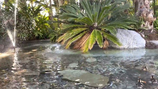 Вышивальная неделя. ? Victoria Sampler, Mill Hill. Вышивка крестом