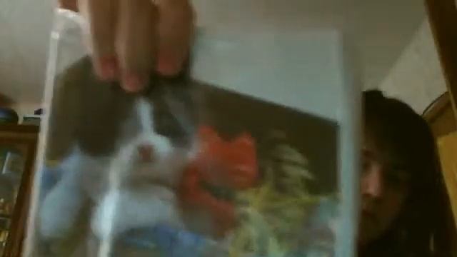 Видео C веб-камеры от  7 марта 2015 г., 10:54 (UTC)