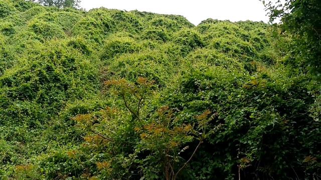 2030ec18188b4c4d3dc0b849a68780e0