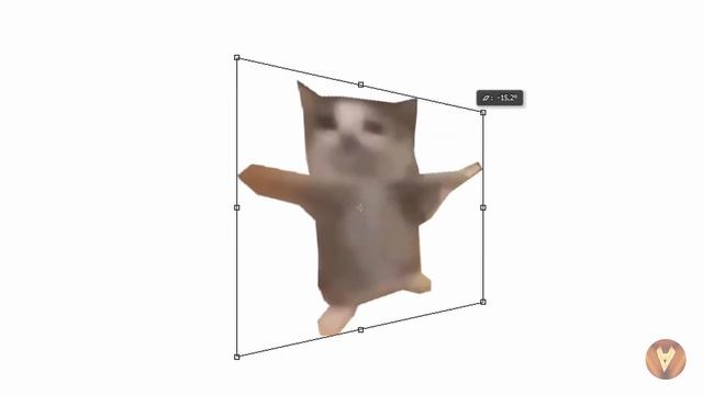 Кот Шнапи флексит в фотошопе