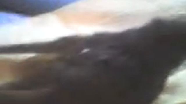 Завтрак Фиалки
