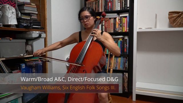 Larsen Il Cannone Cello String Comparison