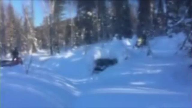 Приисковый, Январь 2016, снега нет