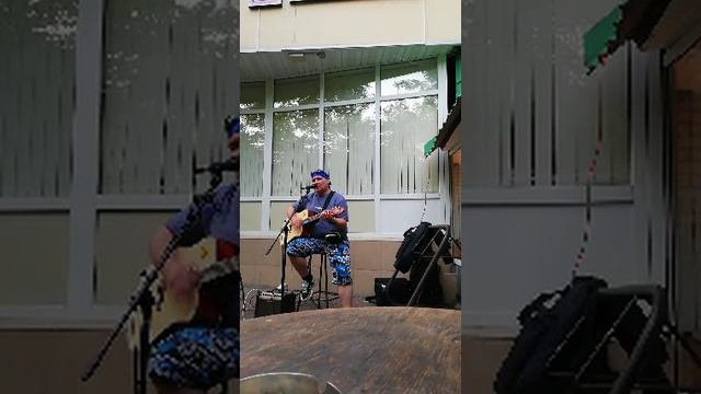 Дельфин_428x240.mp4