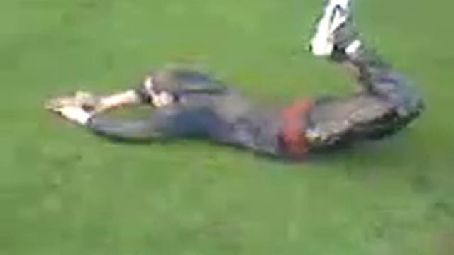 Shane Reed Aka Klinsmann