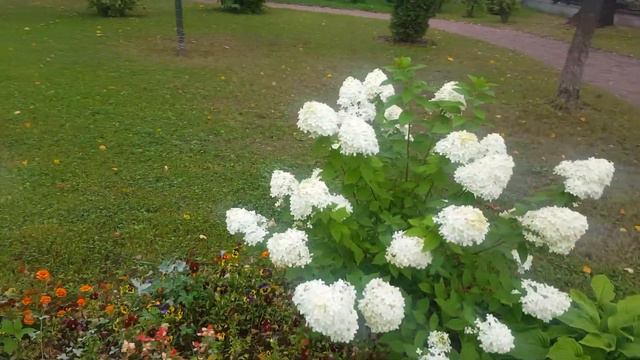 Рыбинск .Самое интересное и всё в одном месте!)