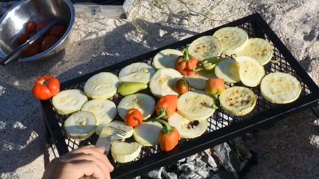 Складной гриль для кемпинга из магазина Jwin Outdoor Store