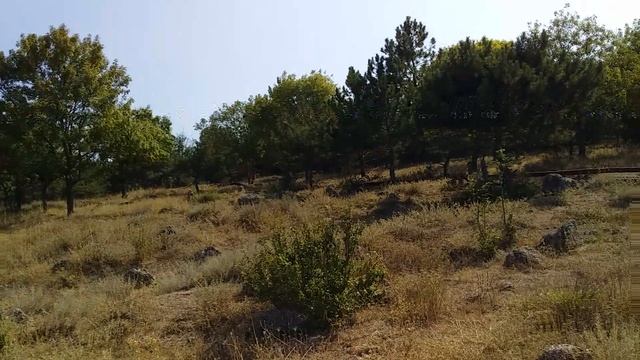 894e263702f60e4851214a0cd342c342