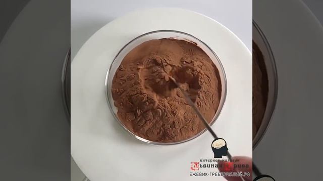 Ежовик гребенчатый (Герициум) как выглядит