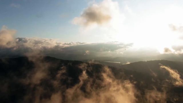 Красивое видео лесных пейзажей,с музыкой для релаксации. Успокаивающая музыка