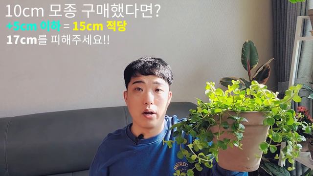 3개월의 법칙 1탄!! 분갈이 하기 전 화분 크기 공식을 알아보자!!