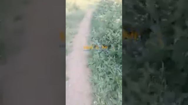 ВСУ жалуются, что Российская авиация разбомбила склады с боеприпасами