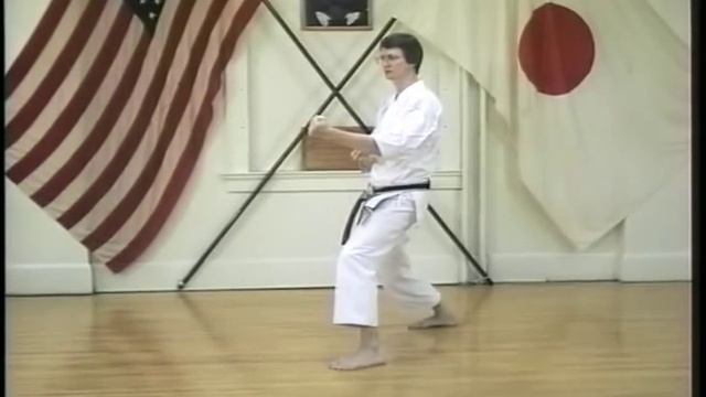 Shotokan Karate Kicking  DVD- Www.karatevid.com