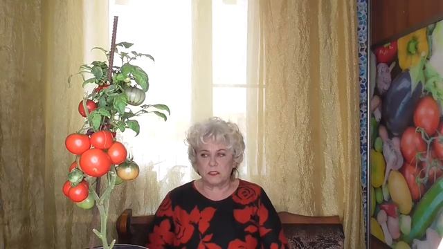 Январь. Пора готовится к посевам! Ольга Чернова.