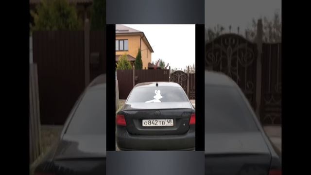 95c1a842787805ff5a58c849a143289c