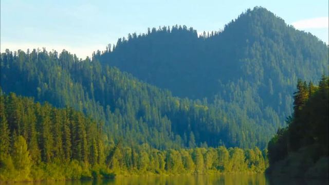 11741adf99d07954cfac908f9623b5fa