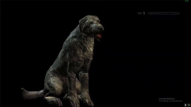 Chaos Skyrim Mod Mash Up