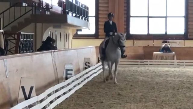 Аня и Колизей ППЮ 14.02.2021