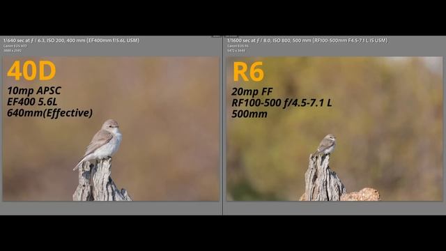 Do You Need A HIGH Megapixel Body? Which Is BEST, Cropping Or Extenders? FF Vs APSC?