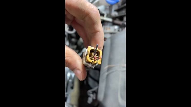 Интерьерная галерея