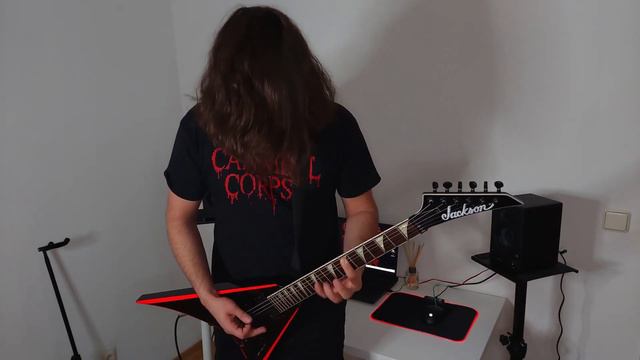 Cannibal Corpse | Eviscreation Plague | (Guitar Cover) #27