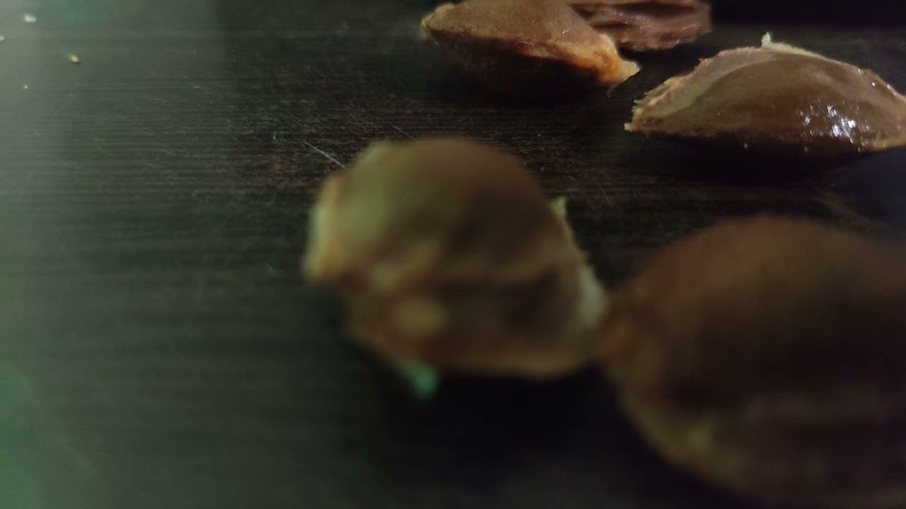 B112c4821f0570eb0241788ff6432a0e