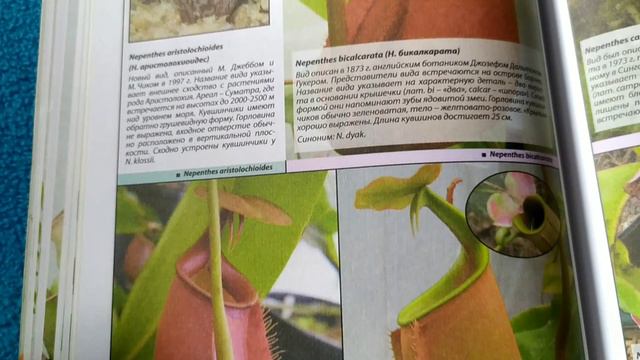 Обзор книги 