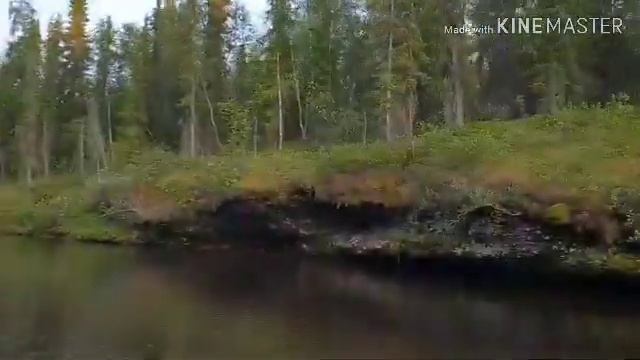 От Щучьего падуна до р.Сула. пороги. Водомет. Северный Тиман.